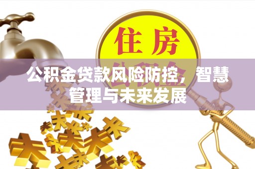 平安公积金贷款风险防控，智慧管理与未来发展