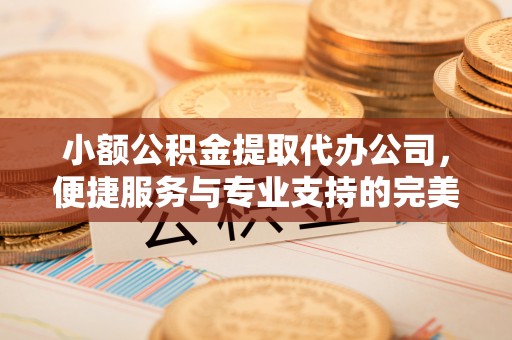 平安小额公积金提取代办公司，便捷服务与专业支持的完美结合